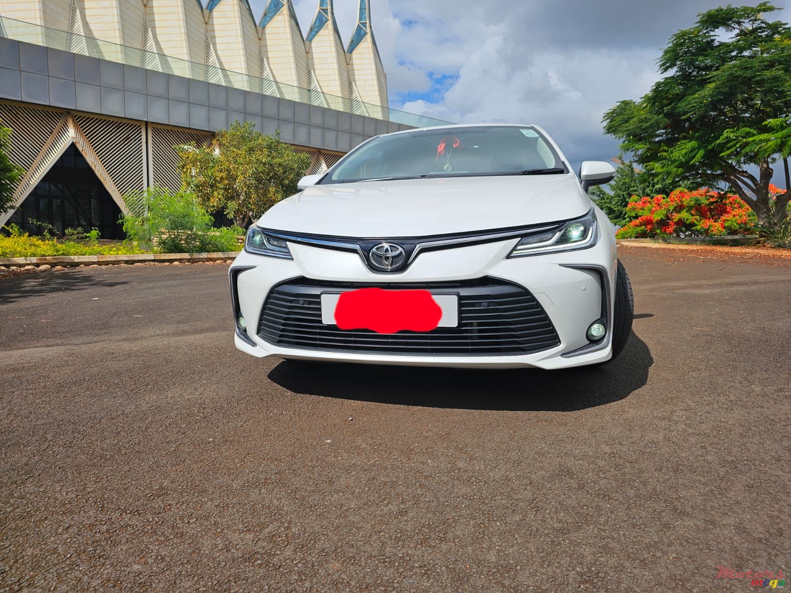 2023' Toyota Corolla photo #1