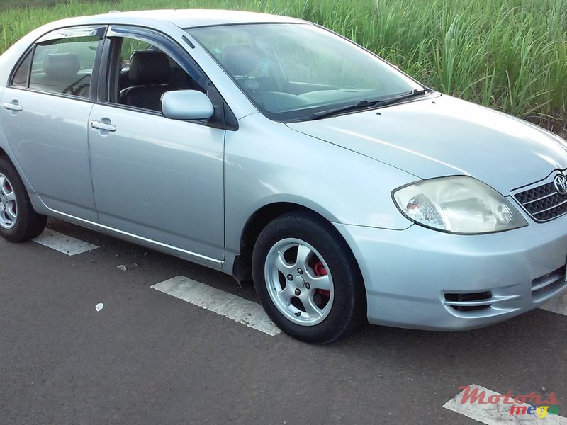 2002' Toyota NZE photo #1