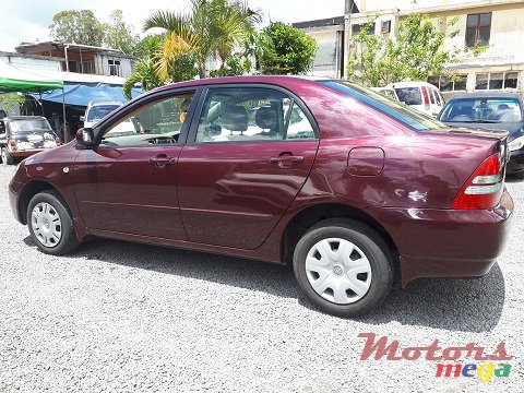 2004' Toyota Corolla NZE photo #5