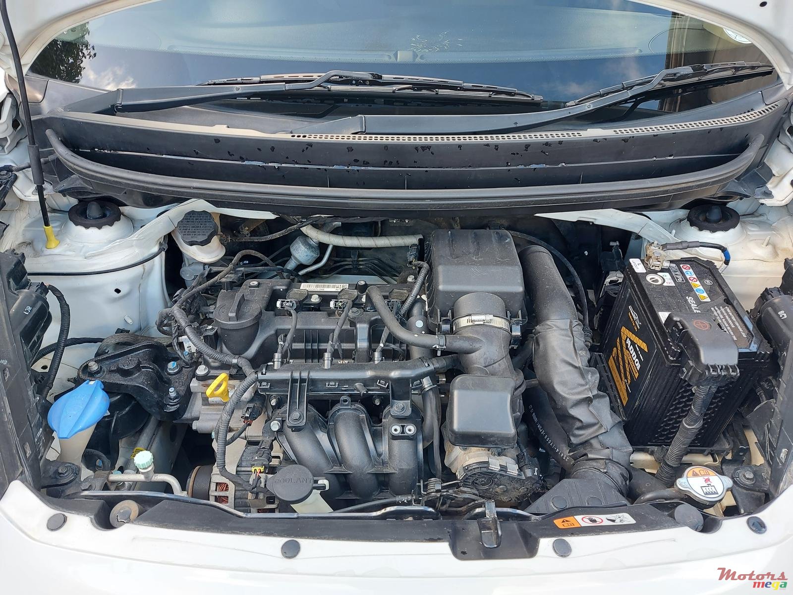 2017' Kia Picanto photo #6