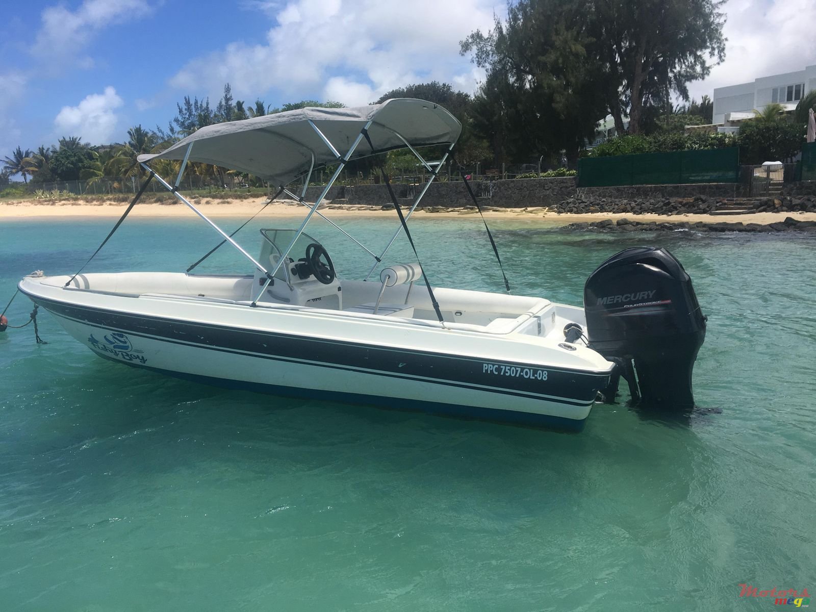 2012' Cobra photo #3