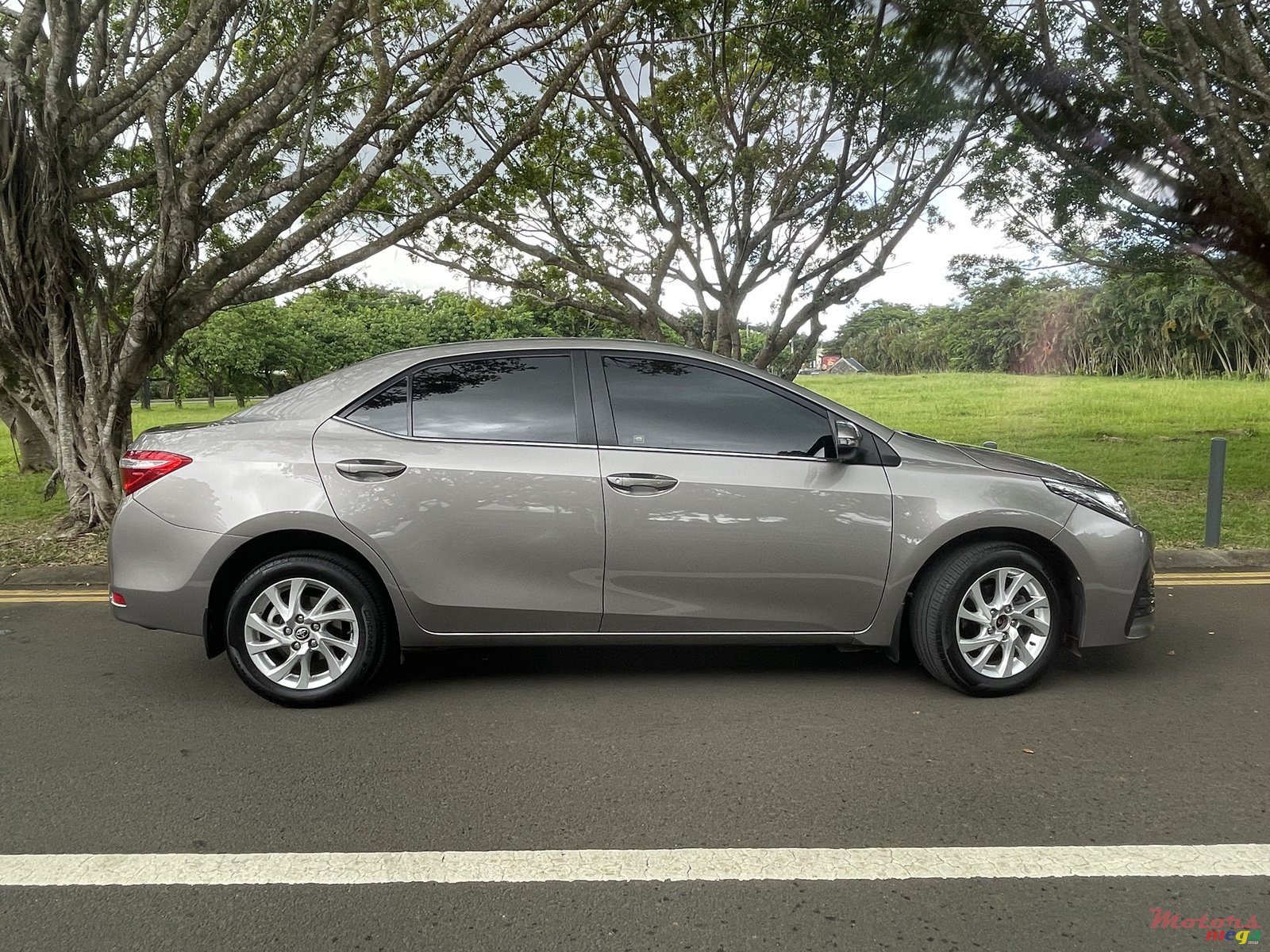 2019' Toyota Corolla photo #3