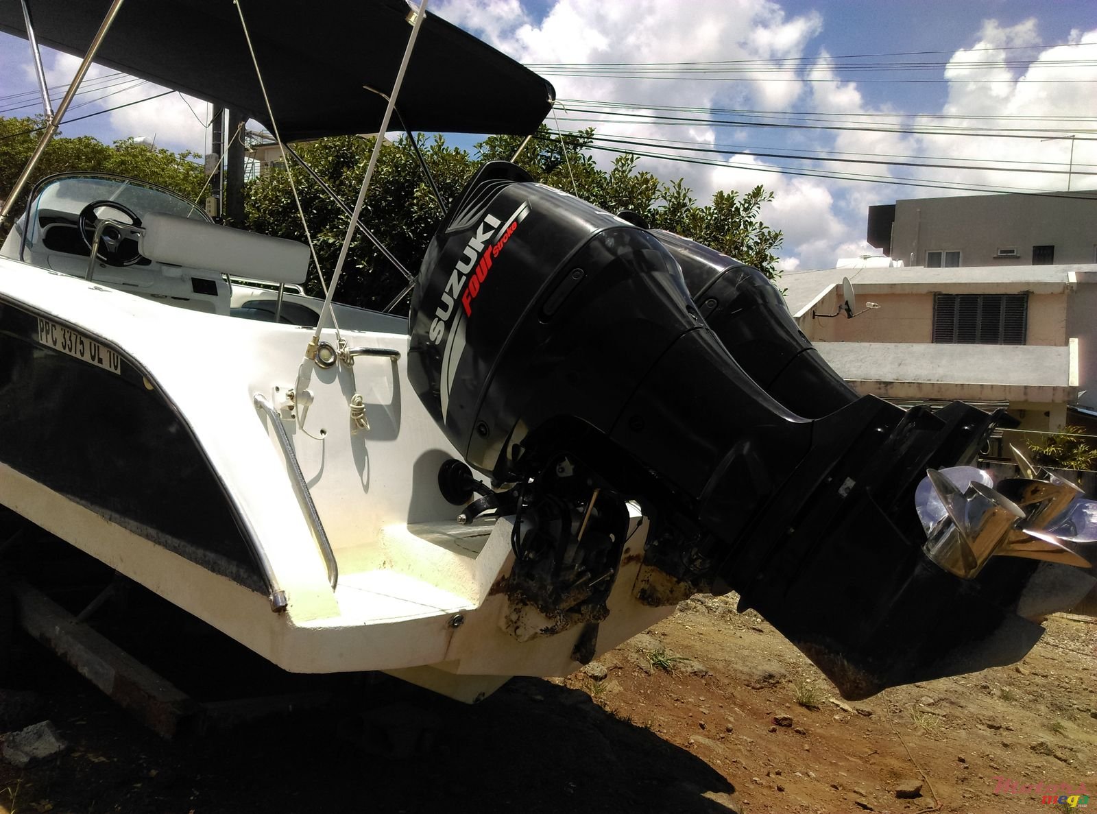 2009' Cobra photo #7