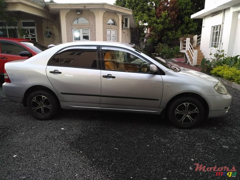 2004' Toyota Corolla NZE photo #3