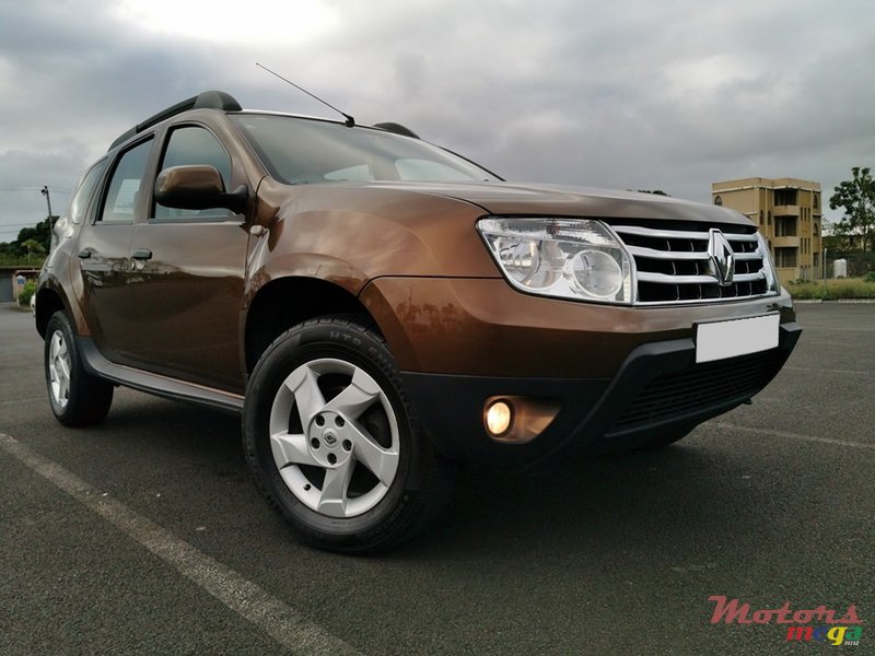 2013' Renault Duster photo #7