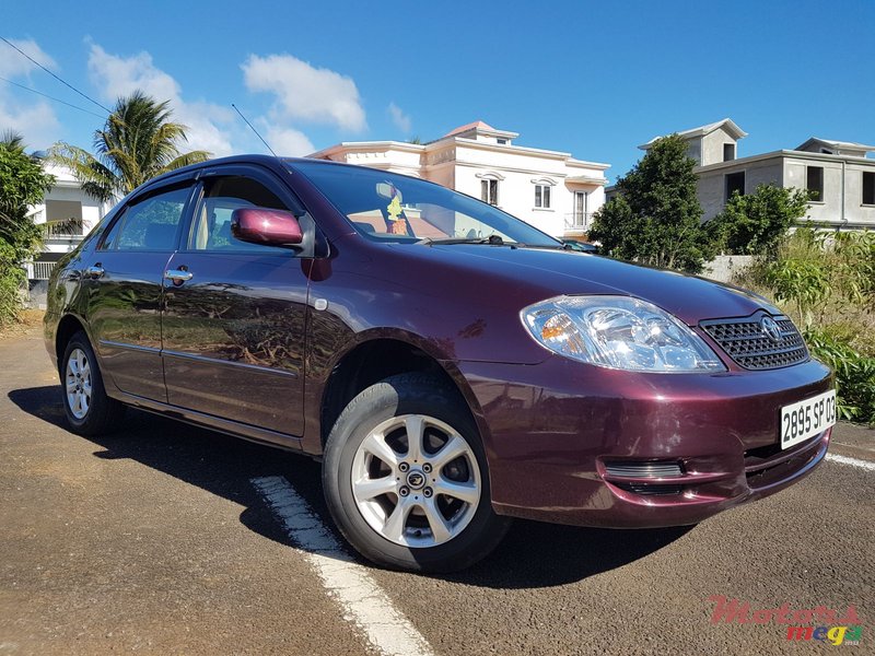 2003' Toyota Corolla photo #2