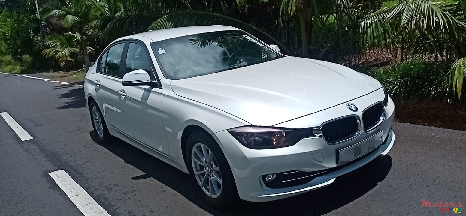 2013' BMW 316 photo #2