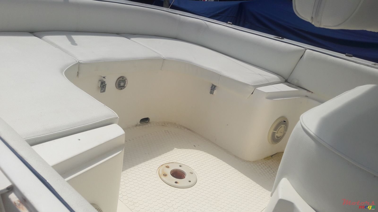 2006' Cobra photo #7