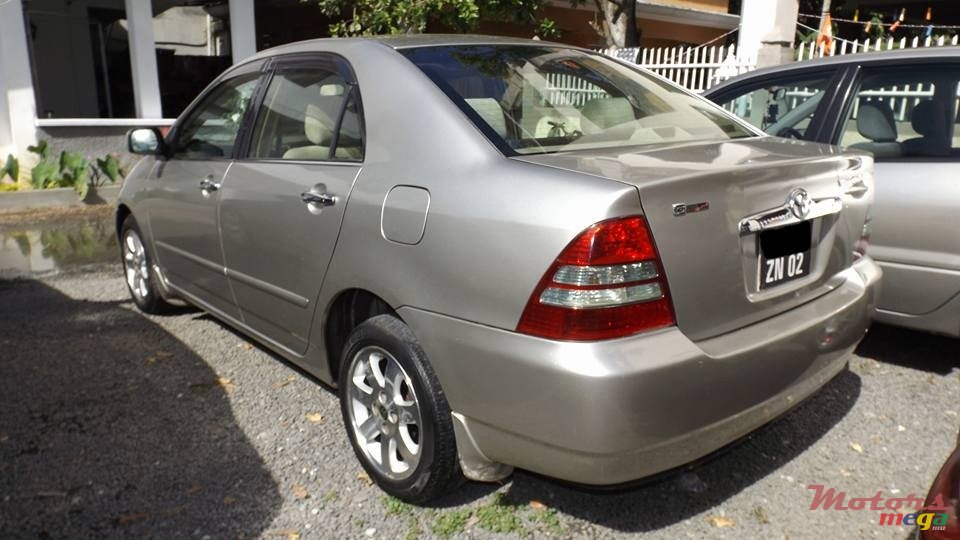 2002' Toyota Corolla NZE photo #3