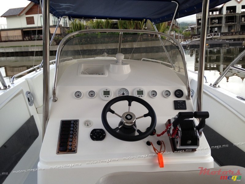 2013'  Cheeta 30" photo #4