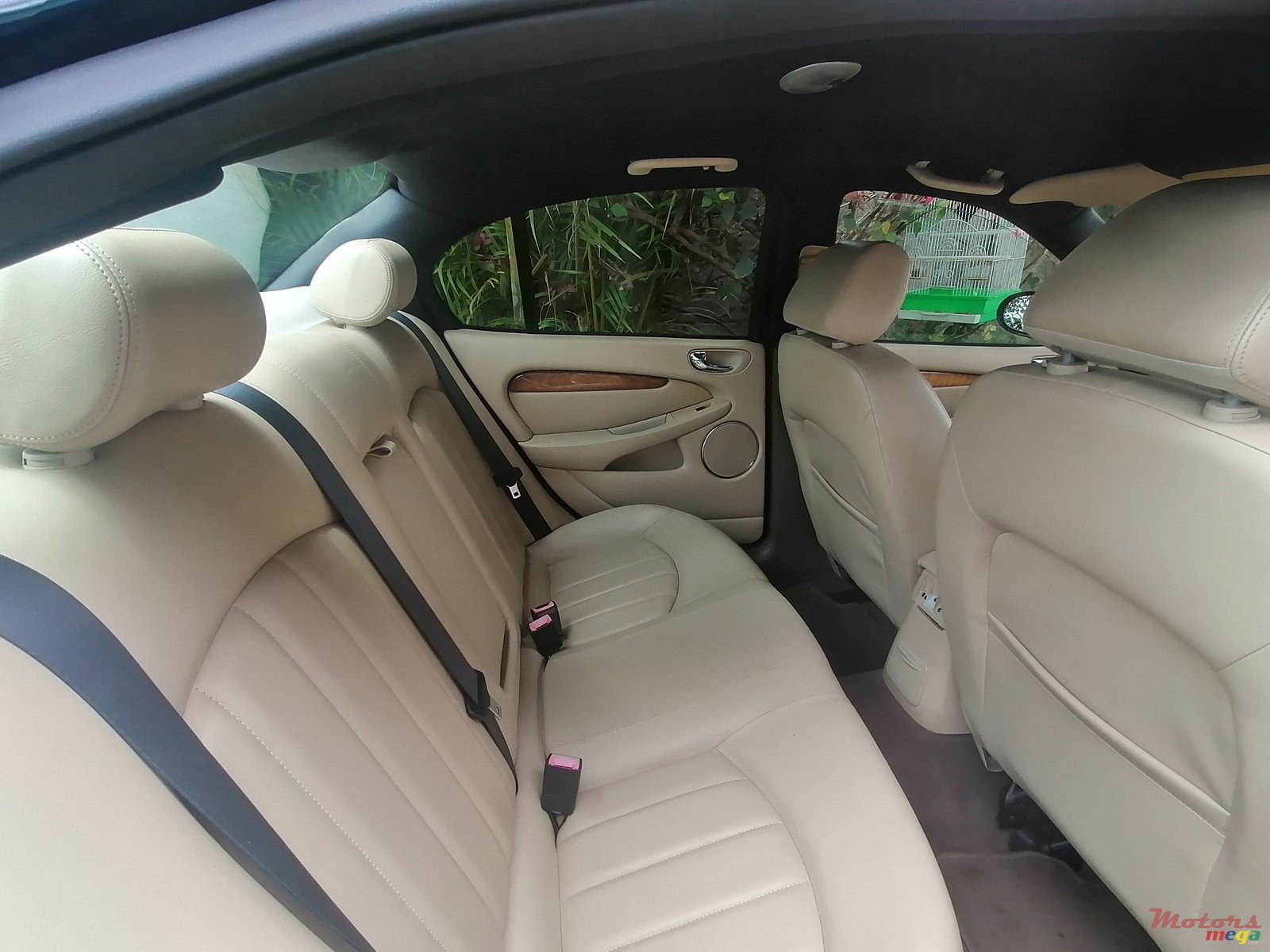 2008' Jaguar photo #4