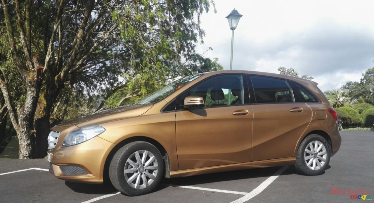 2014' Mercedes-Benz B-Class photo #1