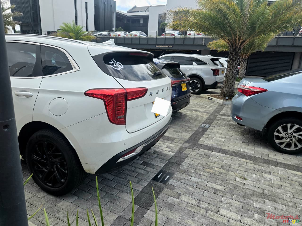 2023' Haval Jolion photo #4