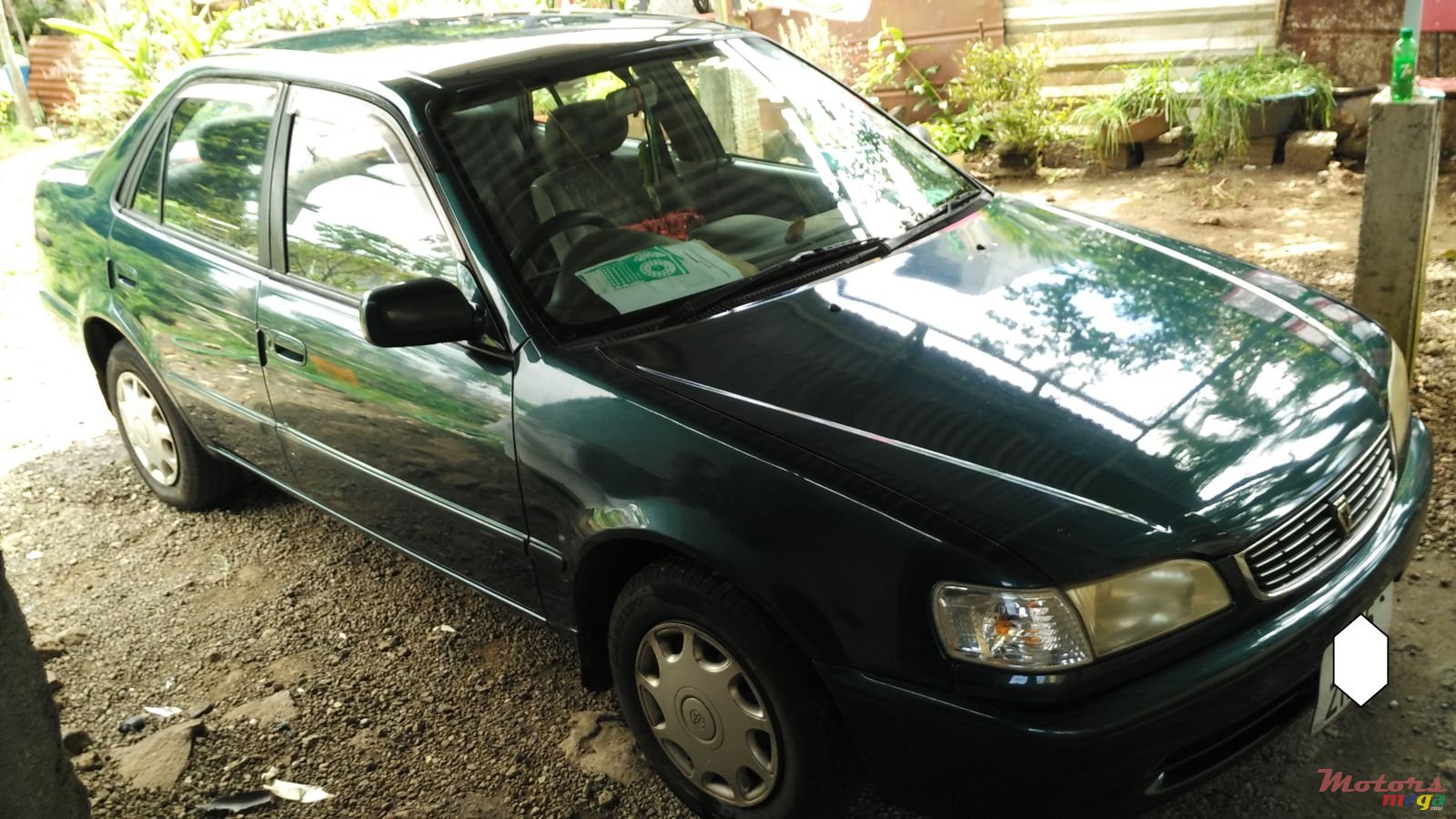 1999' Toyota Corolla photo #1