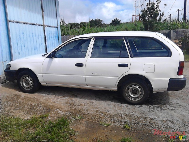 1999' Toyota Corolla photo #2