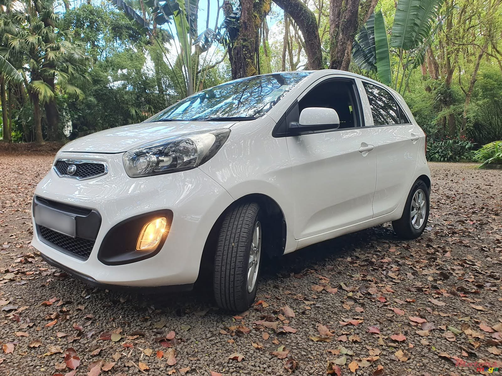 2014' Kia Picanto photo #2