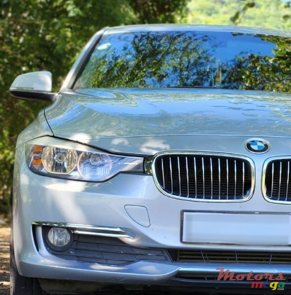 2014' BMW 316 photo #2