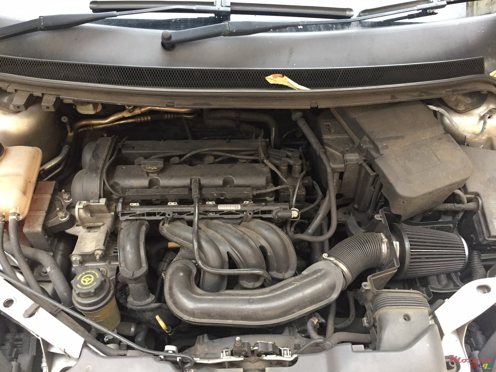 2009' Ford Focus photo #5