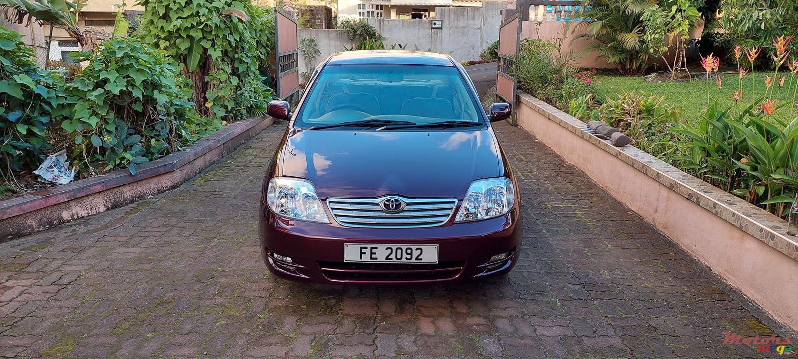 2003' Toyota Corolla NZE photo #1