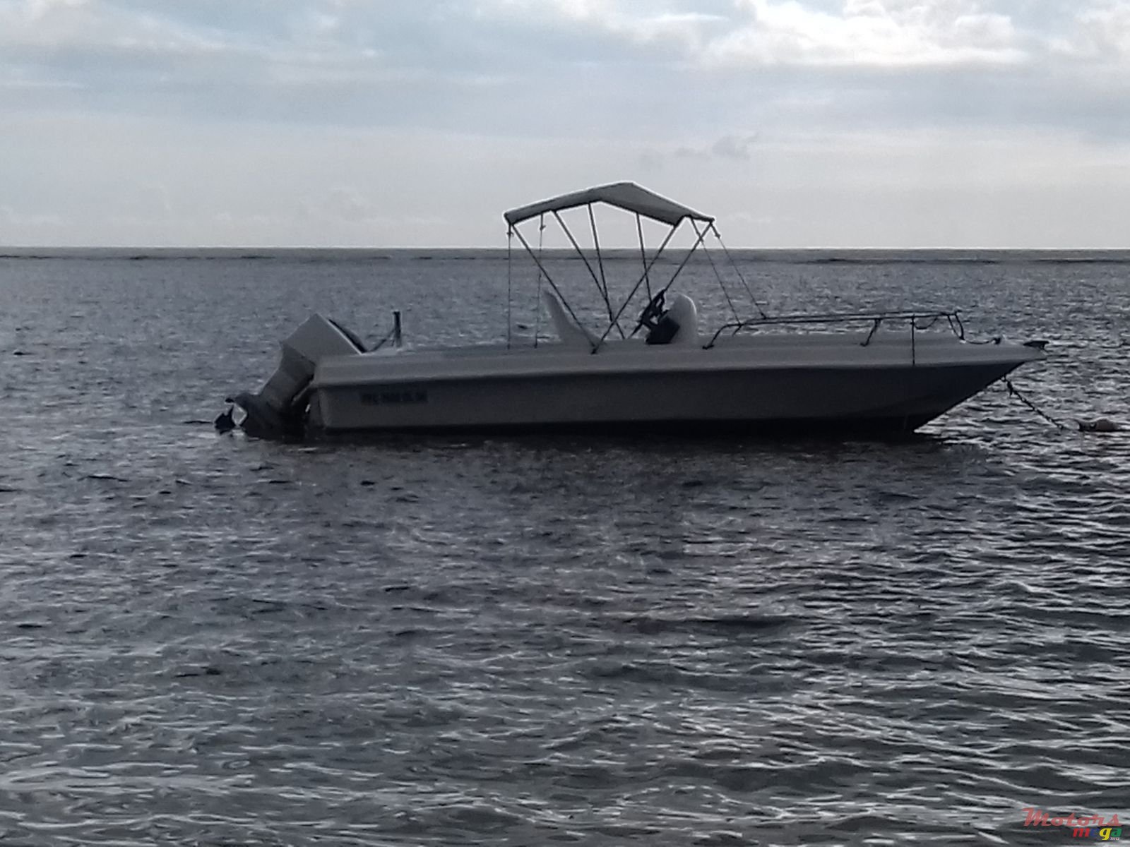 2005' Tremlett photo #1