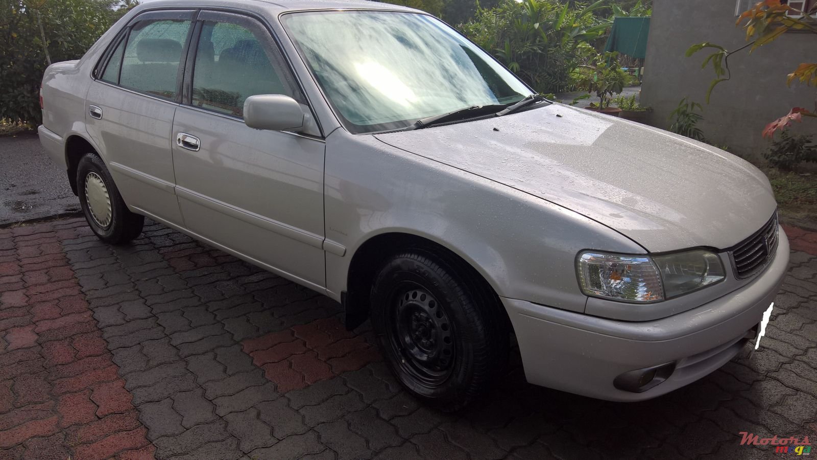 1999' Toyota Corolla photo #1