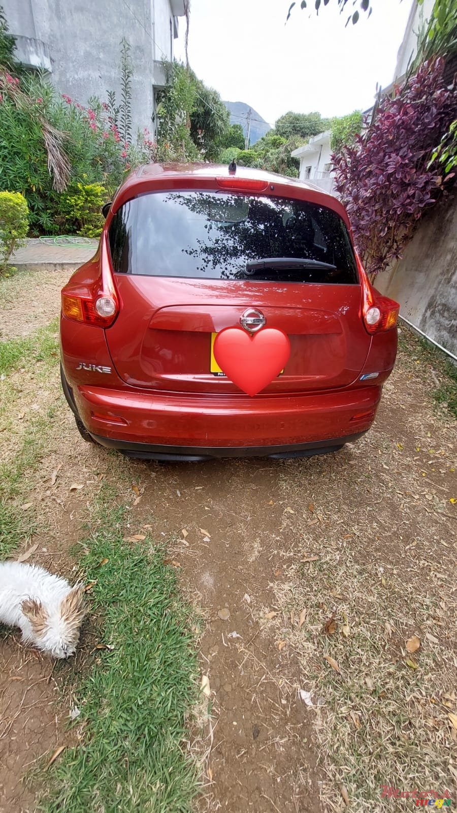 2011' Nissan Juke photo #2