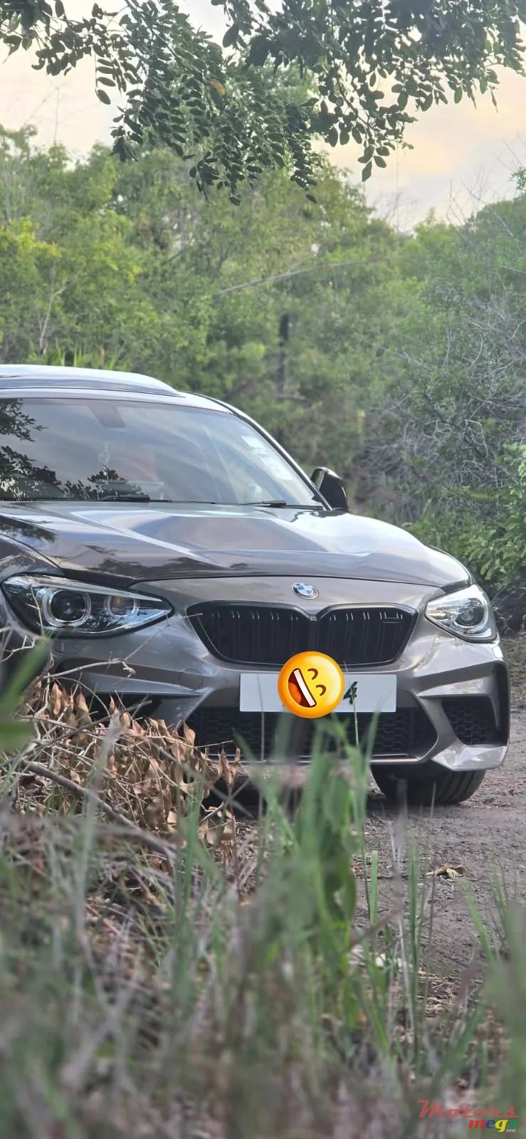 2012' BMW 120 photo #2