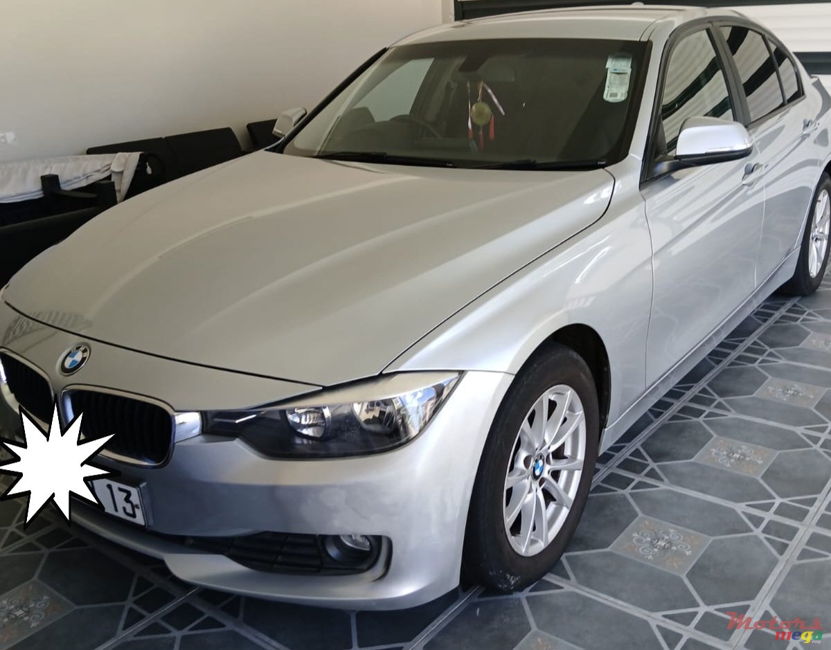 2013' BMW 316 photo #1
