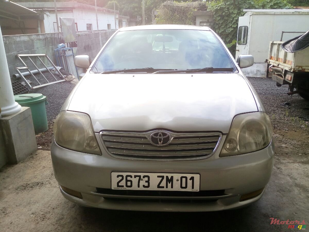 2001' Toyota Corolla NZE photo #4