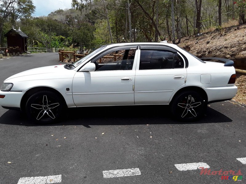 1992' Toyota Corolla photo #1