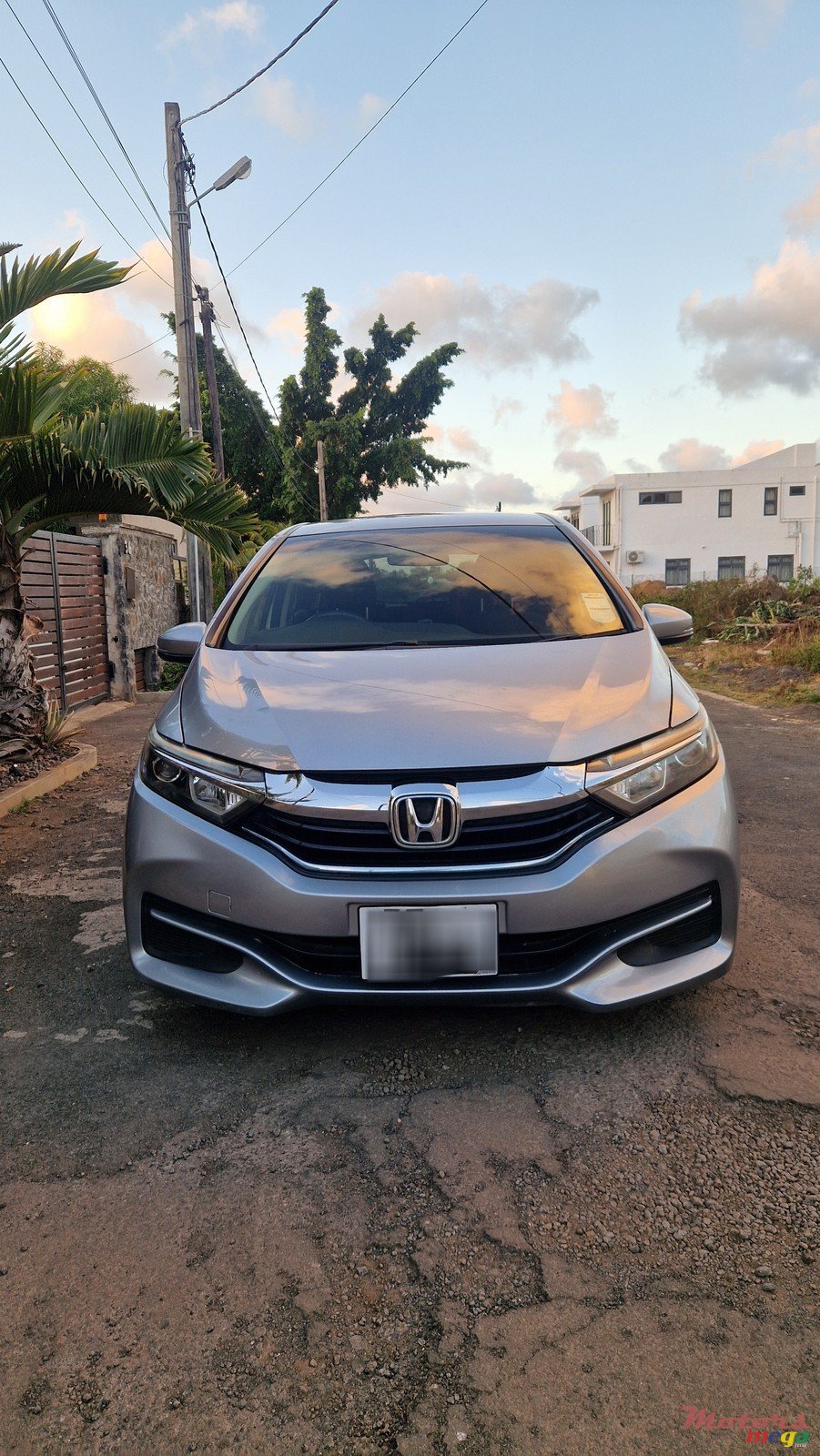 2019' Honda Shuttle photo #2