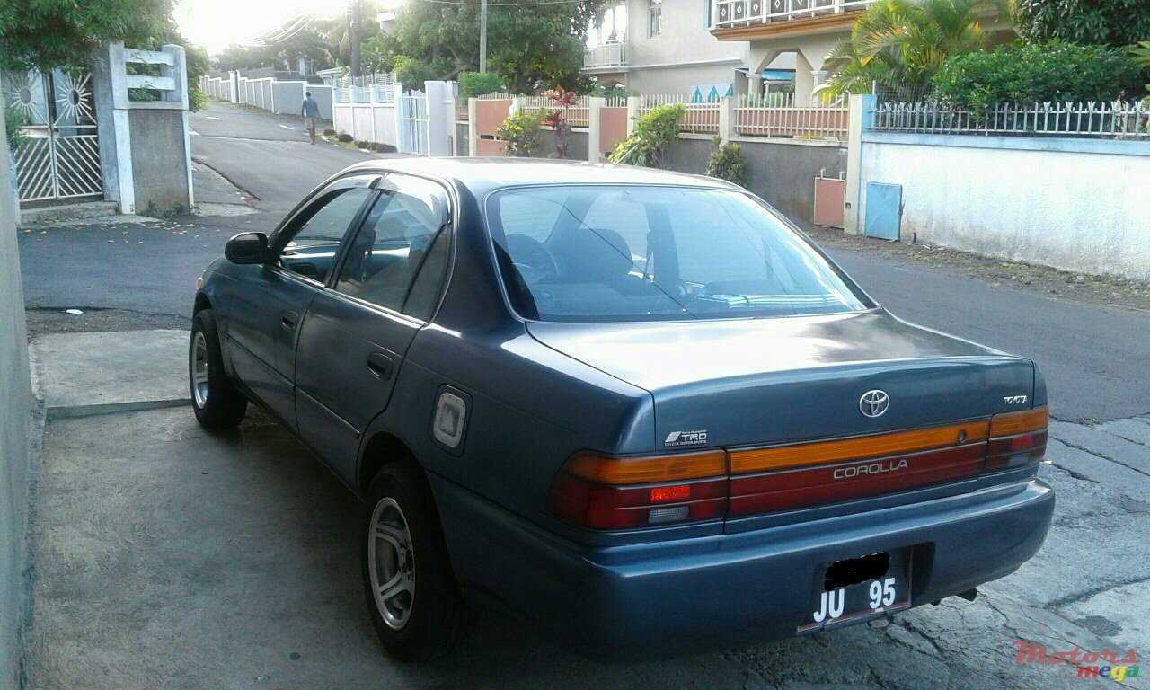1995' Toyota Corolla photo #1