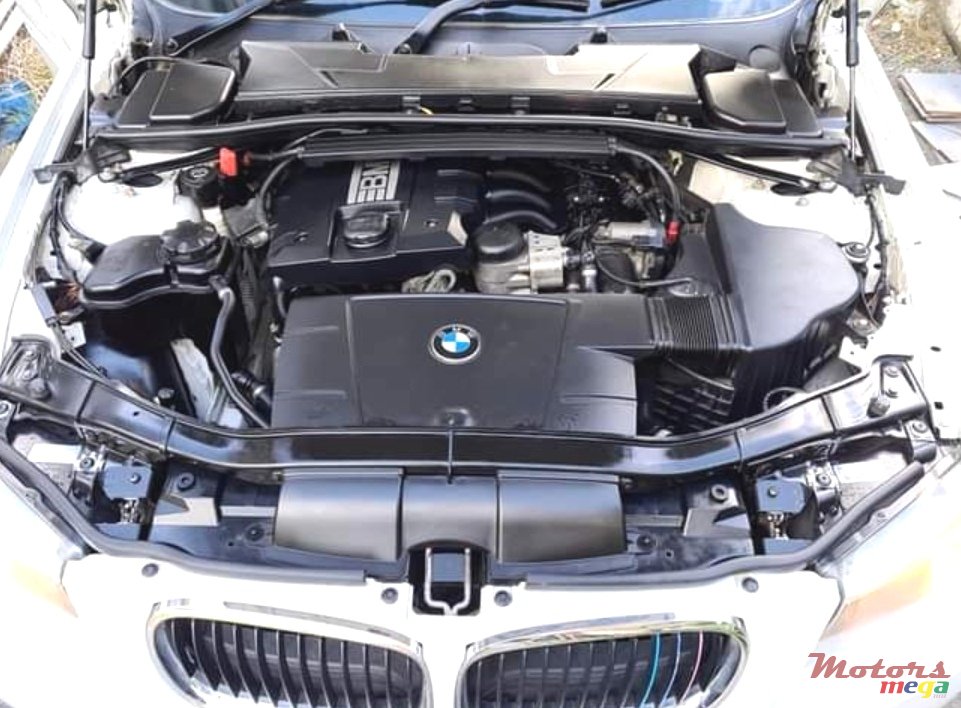 2010' BMW 318 photo #2