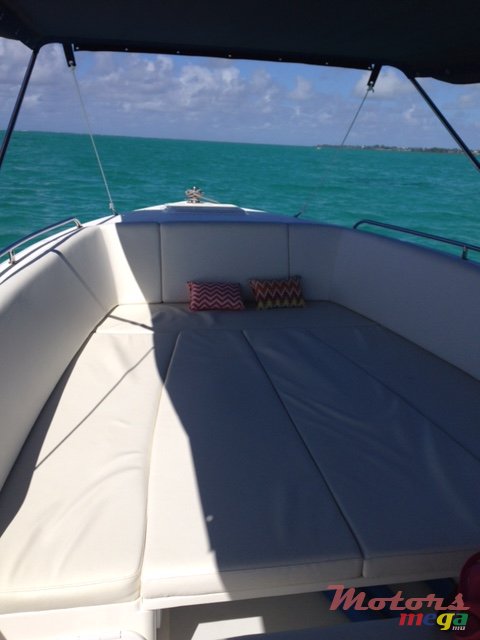 2013' Custom Line Speville Cheetah 30" photo #5