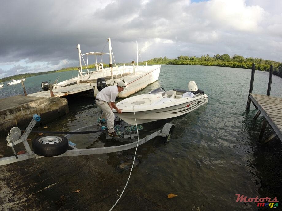 2010' Cobra photo #1