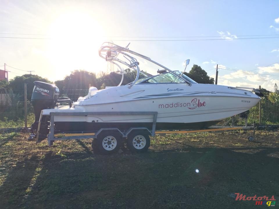 2013' Sunsation photo #4