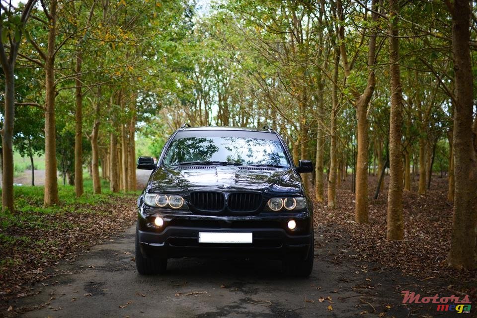 2004' BMW X5 Sports Edition photo #2