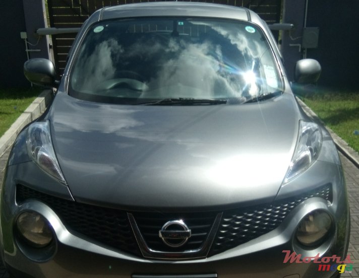 2010' Nissan Juke photo #1