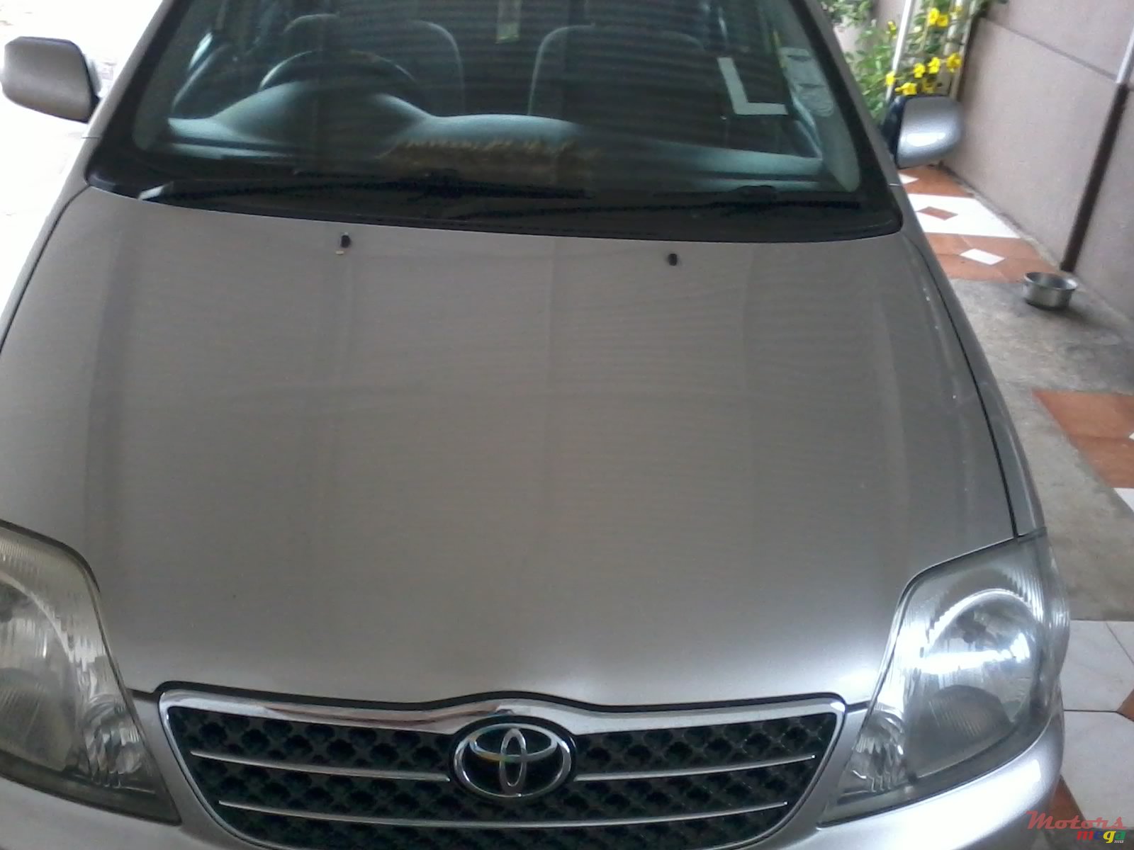 2002' Toyota Corolla photo #2