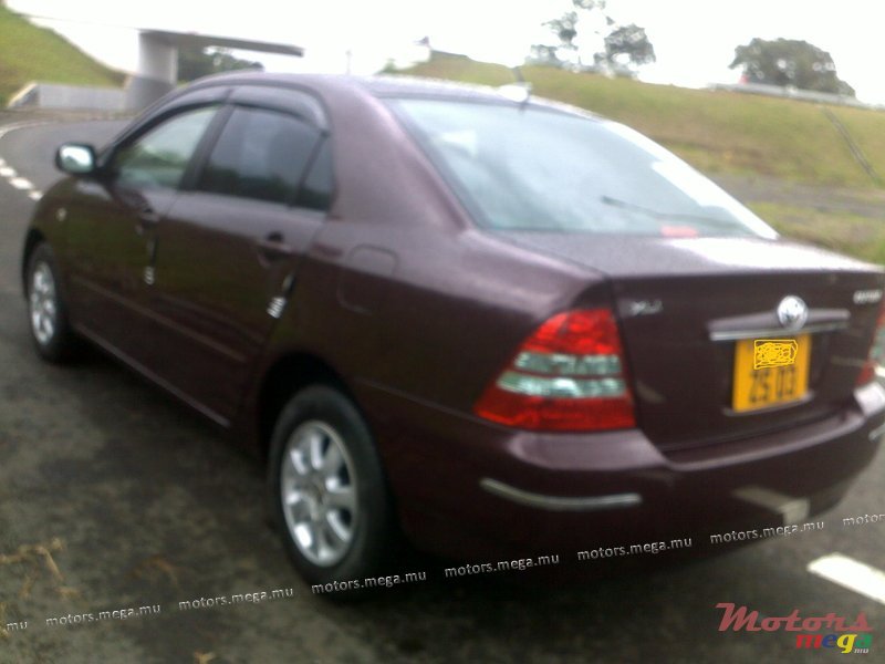 2003' Toyota Corolla NZE photo #1