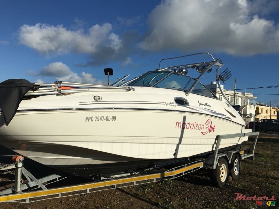 2013' Sunsation photo #1