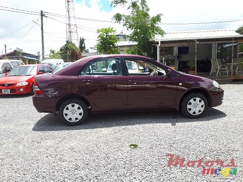 2004' Toyota Corolla NZE photo #4