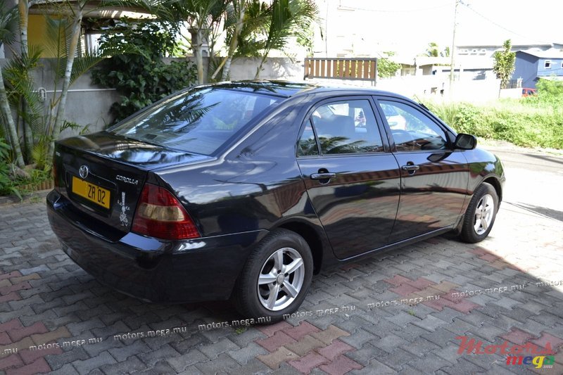 2002' Toyota Corolla NZE photo #1