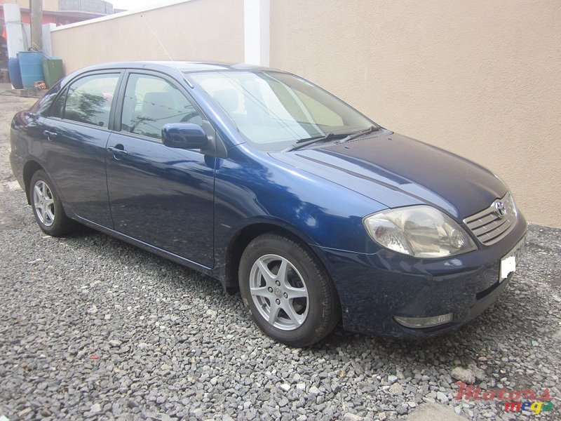 2002' Toyota NZE photo #2