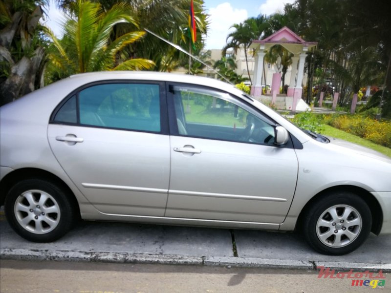 2003' Toyota Corolla photo #1