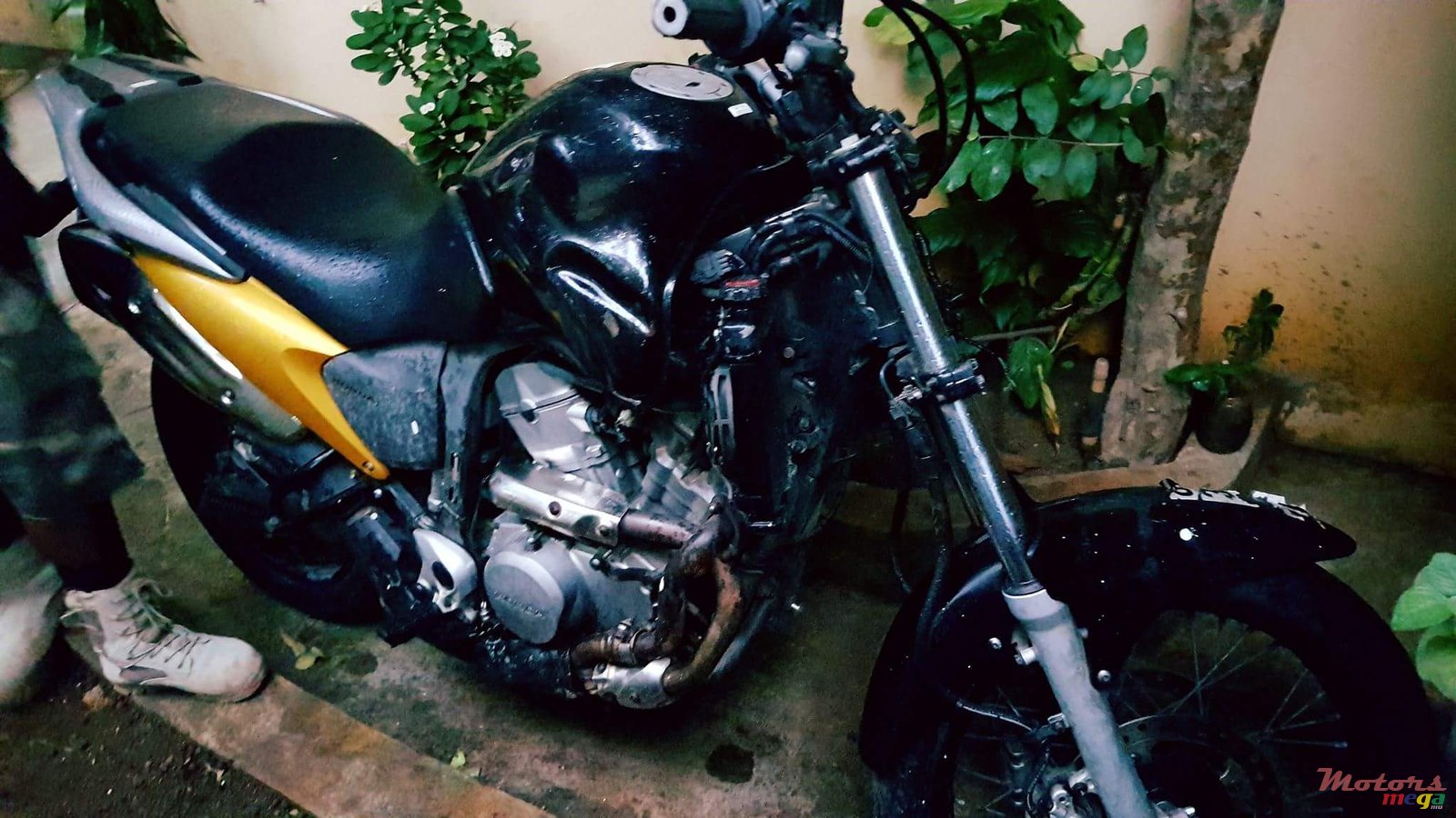 2009' Honda photo #2