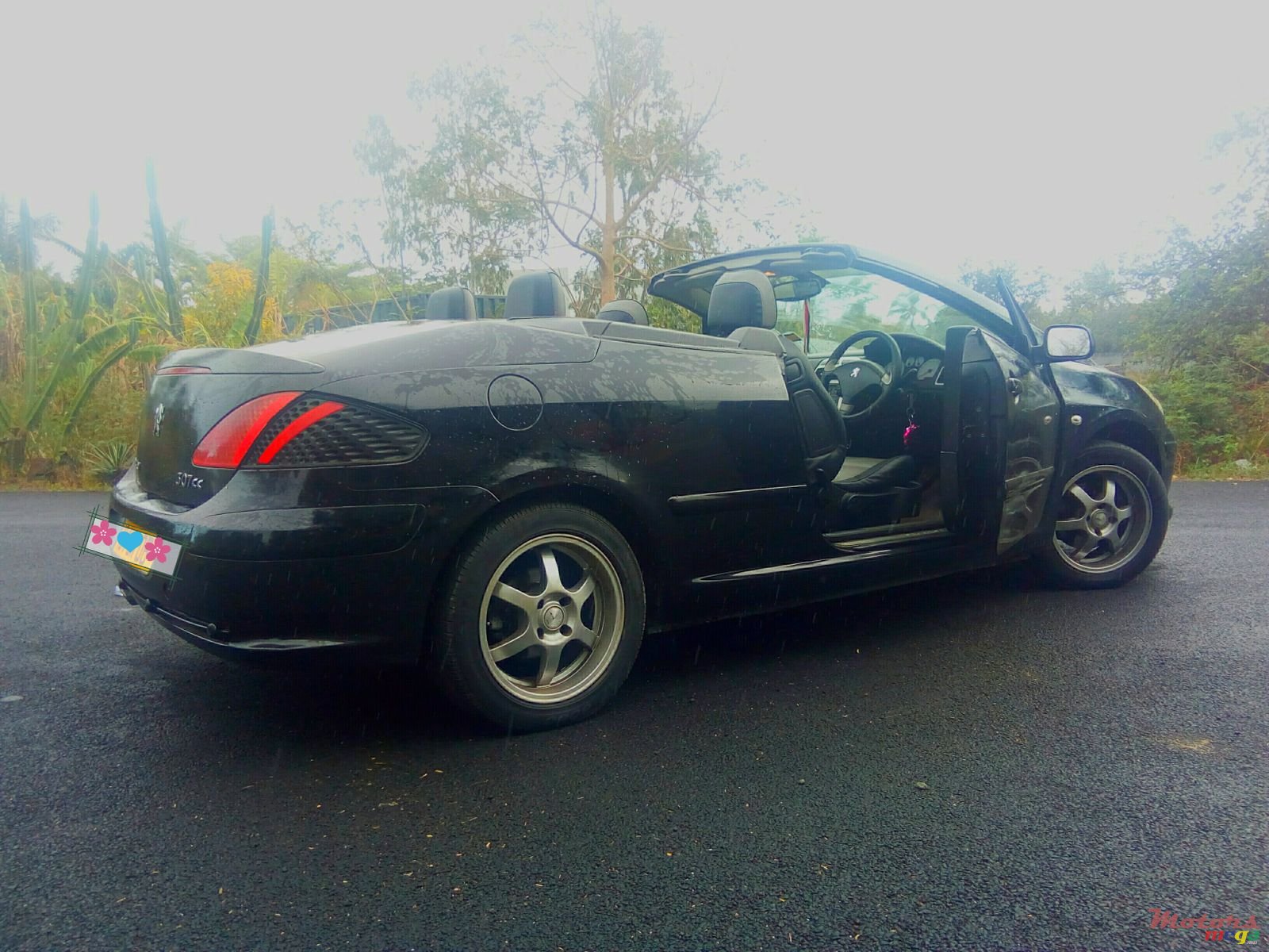 2006' Peugeot 307 CC photo #4