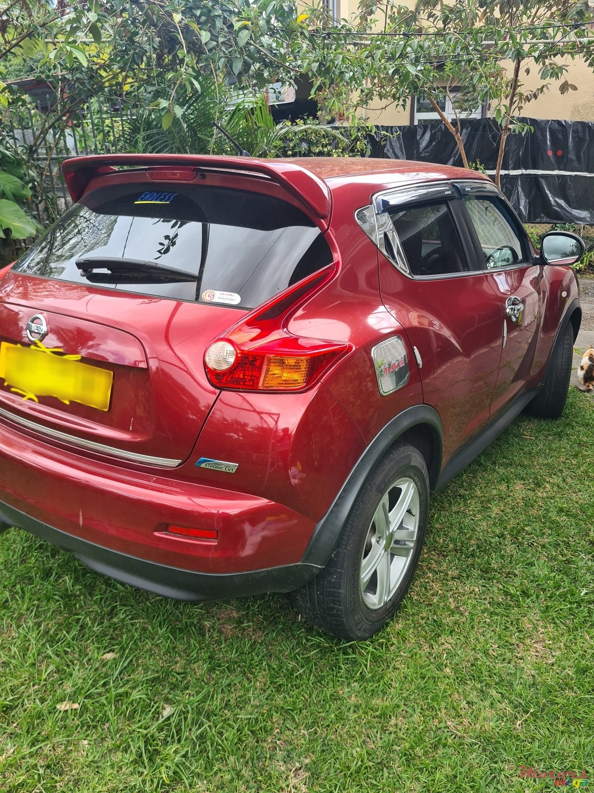 2011' Nissan Juke photo #2