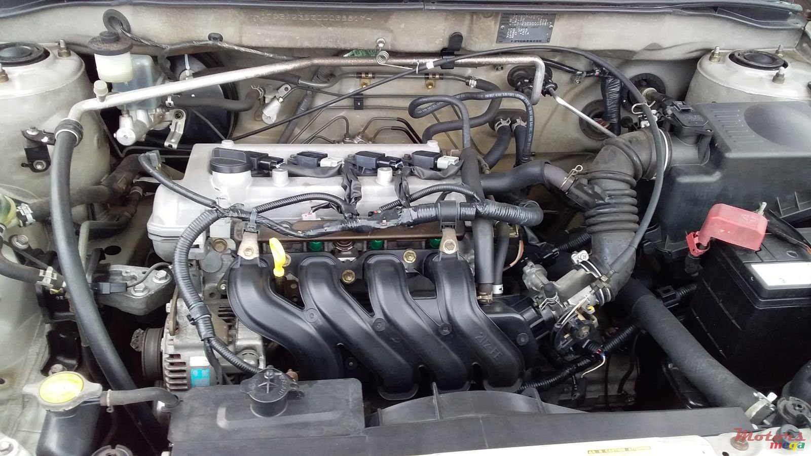 2002' Toyota Corolla photo #4