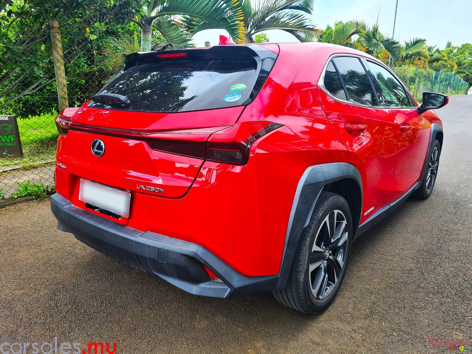 2020' Lexus UX 250h 2.0 Hybrid photo #4